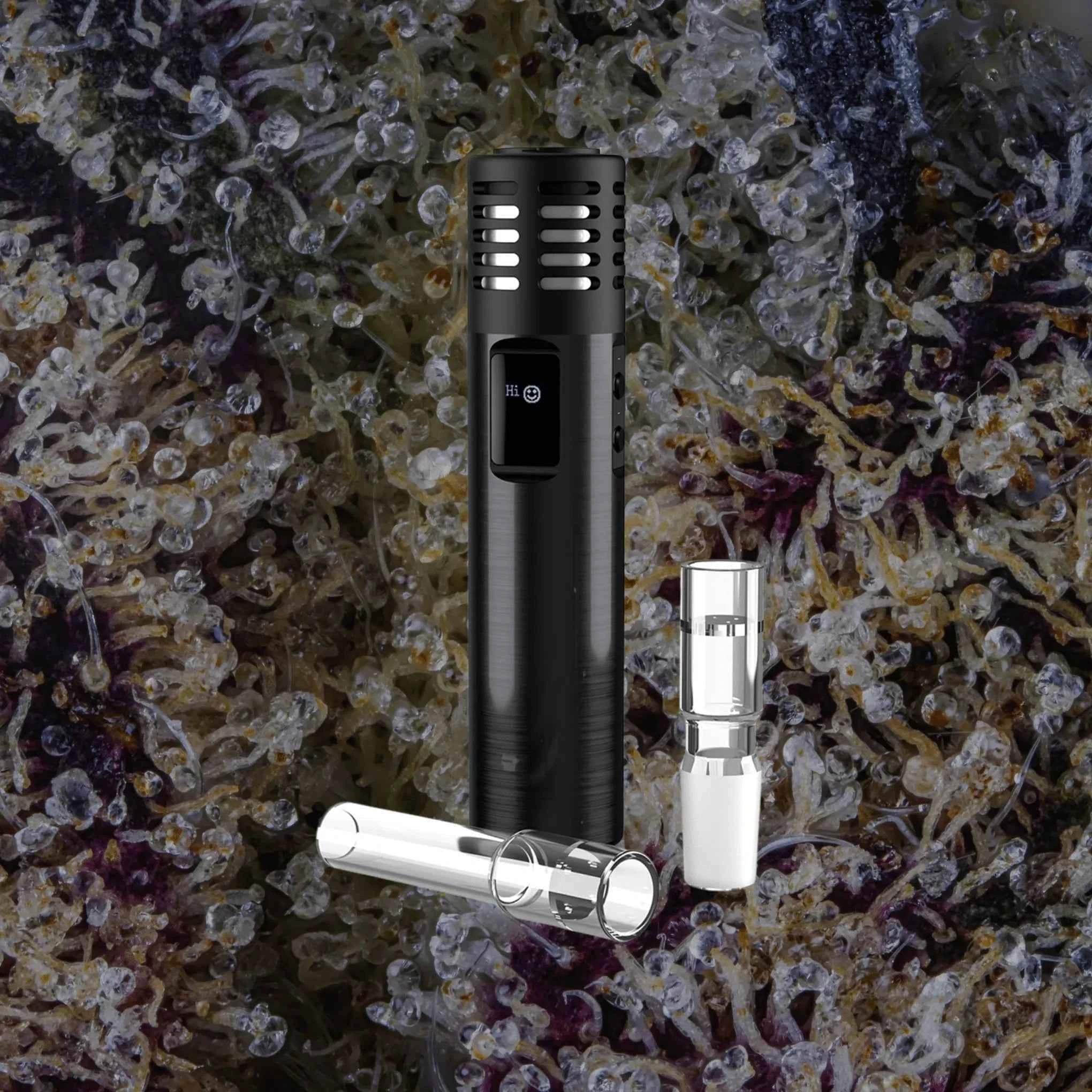 Arizer Air Max
