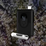 Arizer ArGo, for flower from Trichly photo 1