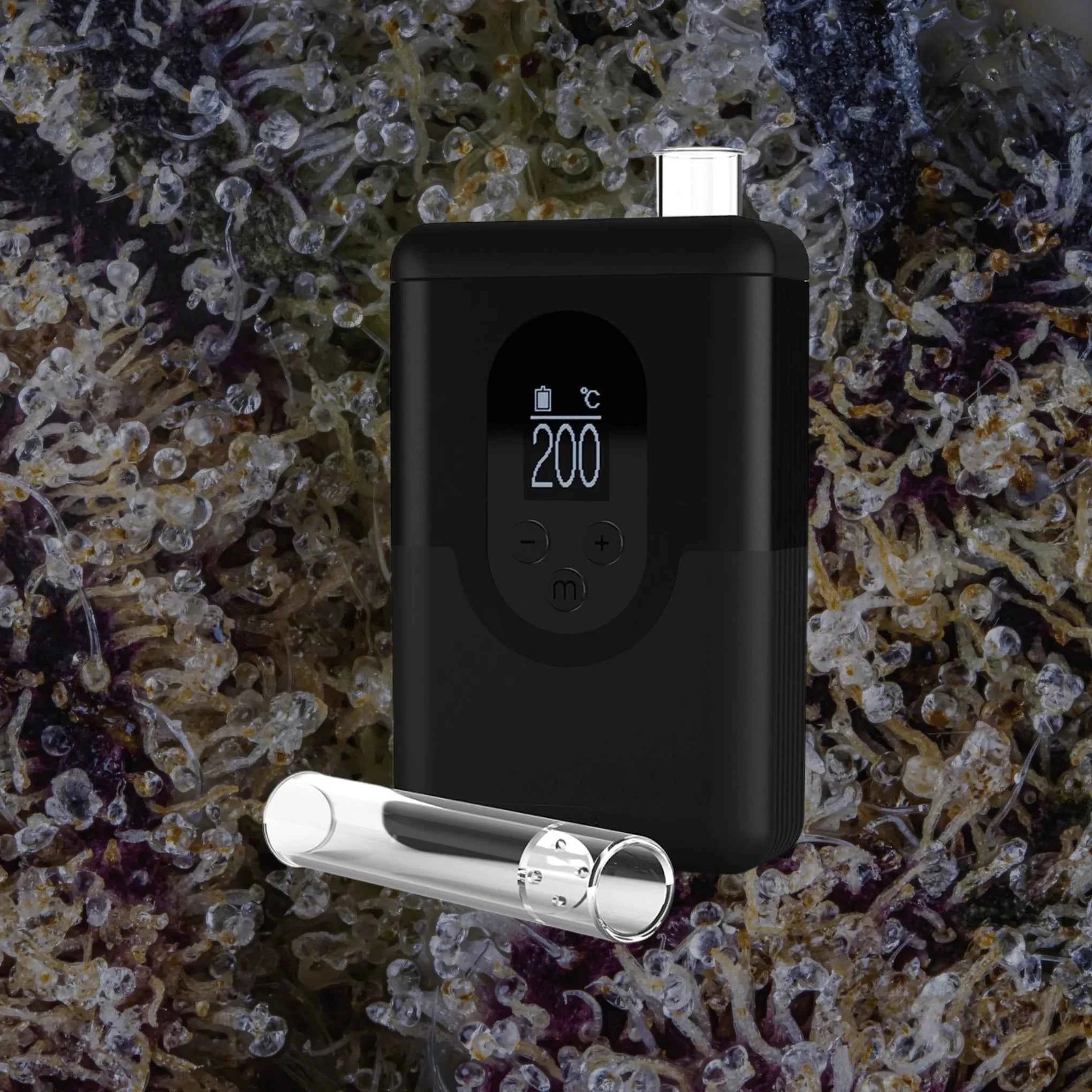 Arizer ArGo