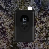 Arizer ArGo, for flower from Trichly photo 2