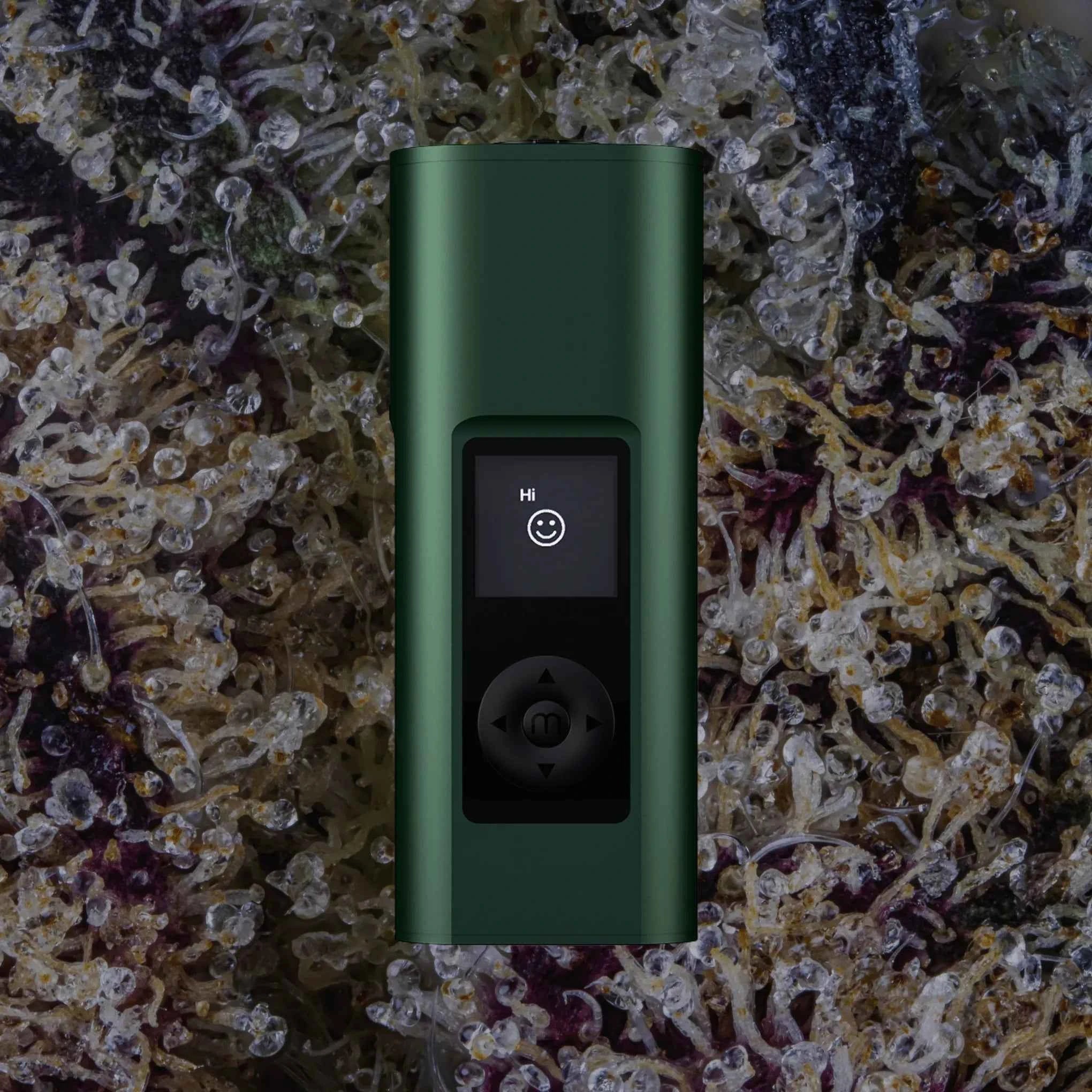 Arizer Solo III V2