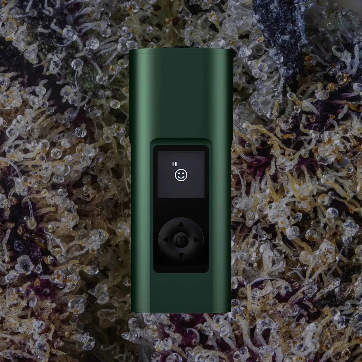 Arizer Solo III V2, for flower from Trichly