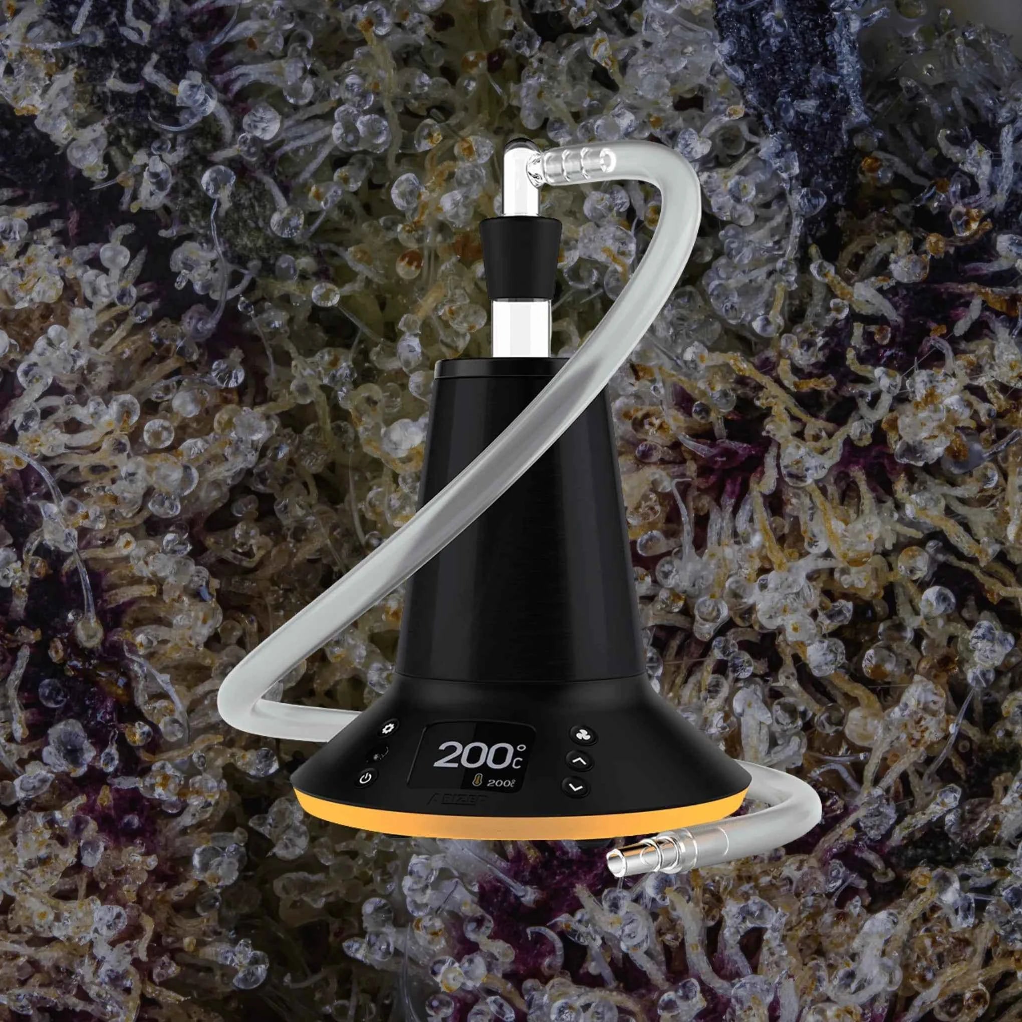 Arizer XQ2