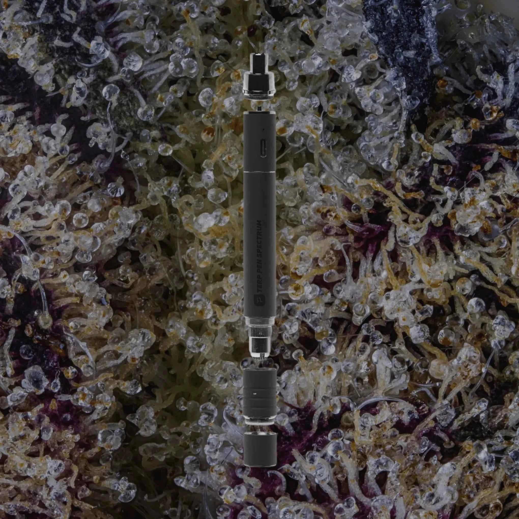 Boundless Technology Terp Pen Spectrum
