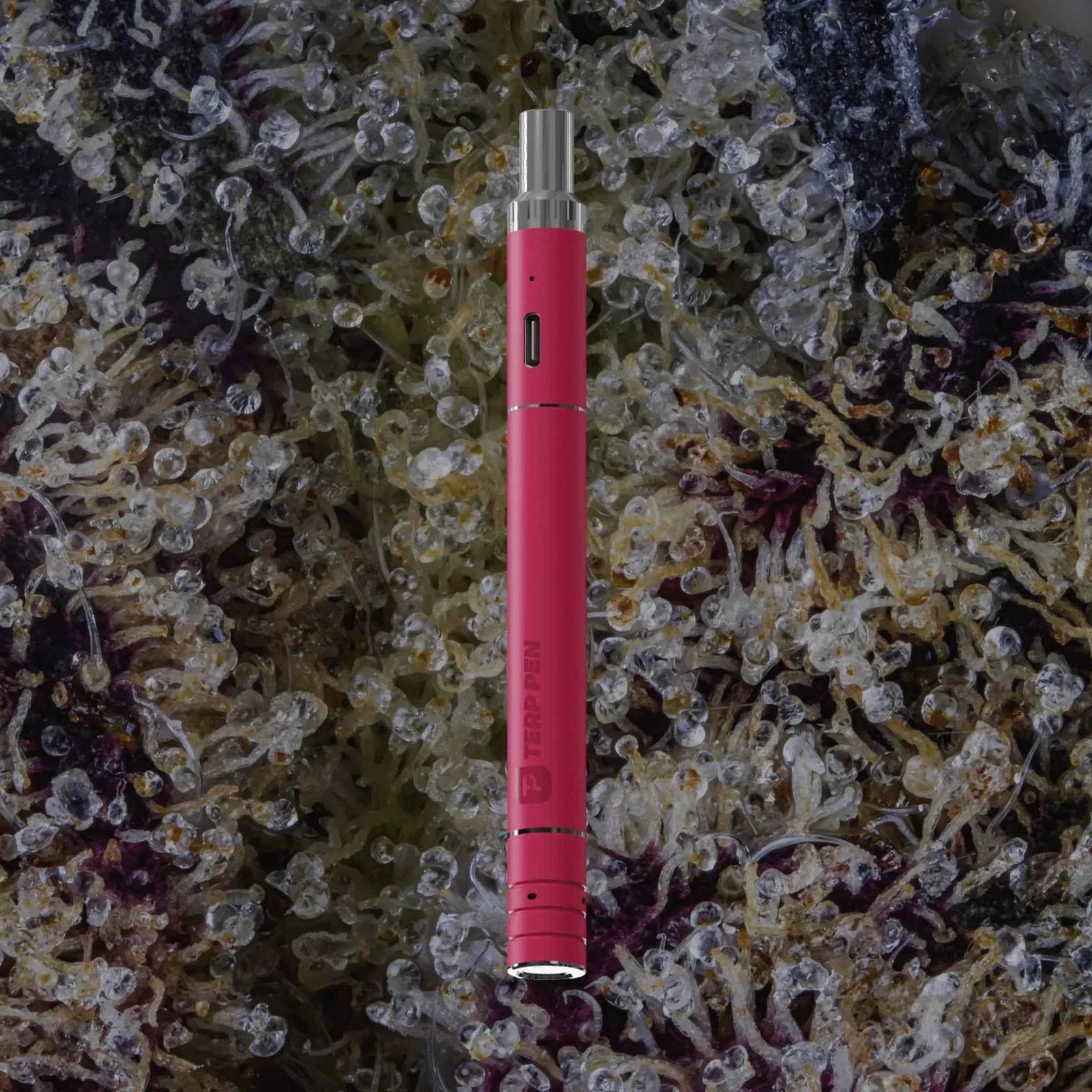 Boundless Technology Terp Pen V2