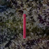 Boundless Technology Terp Pen V2, for extracts from Trichly photo 5