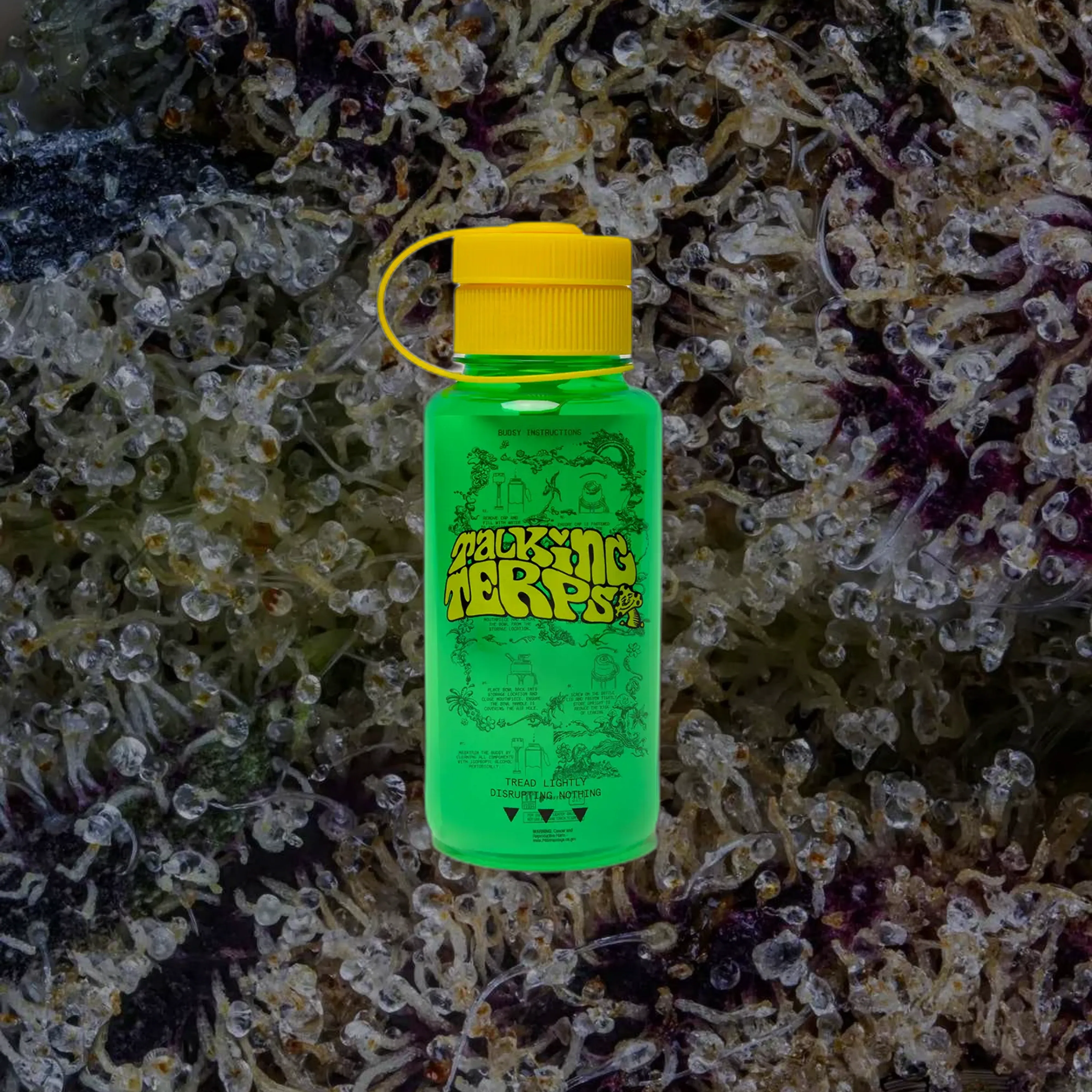 Puffco Budsy, glass from Trichly