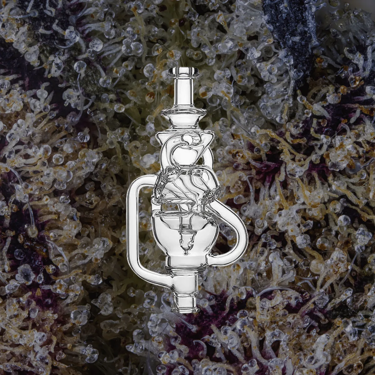 Calibear Fabcycler Puffco Pivot Top, glass from Trichly