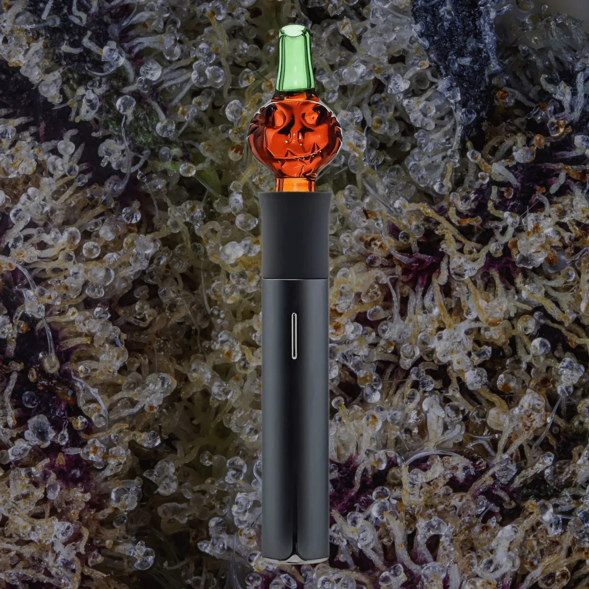 Calibear Pumpkin Jack Puffco Pivot Top, glass from Trichly