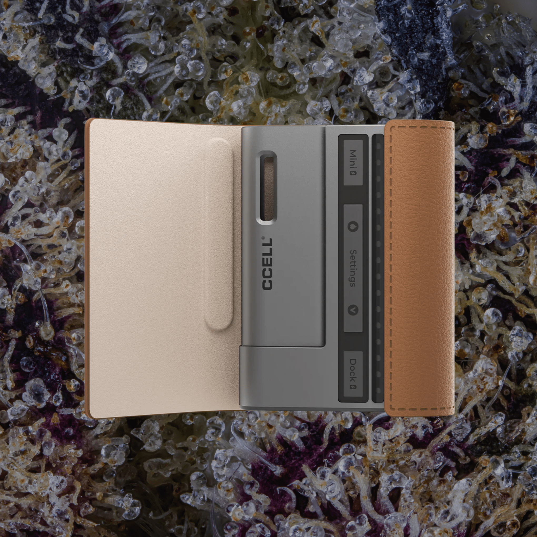 CCELL Fino