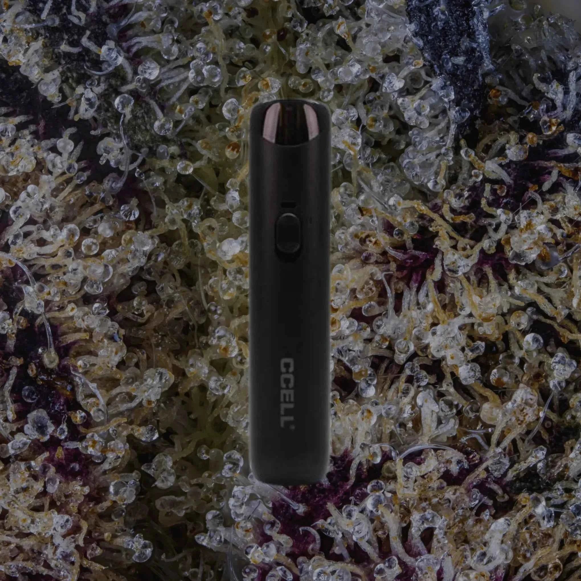 CCELL Go Stick