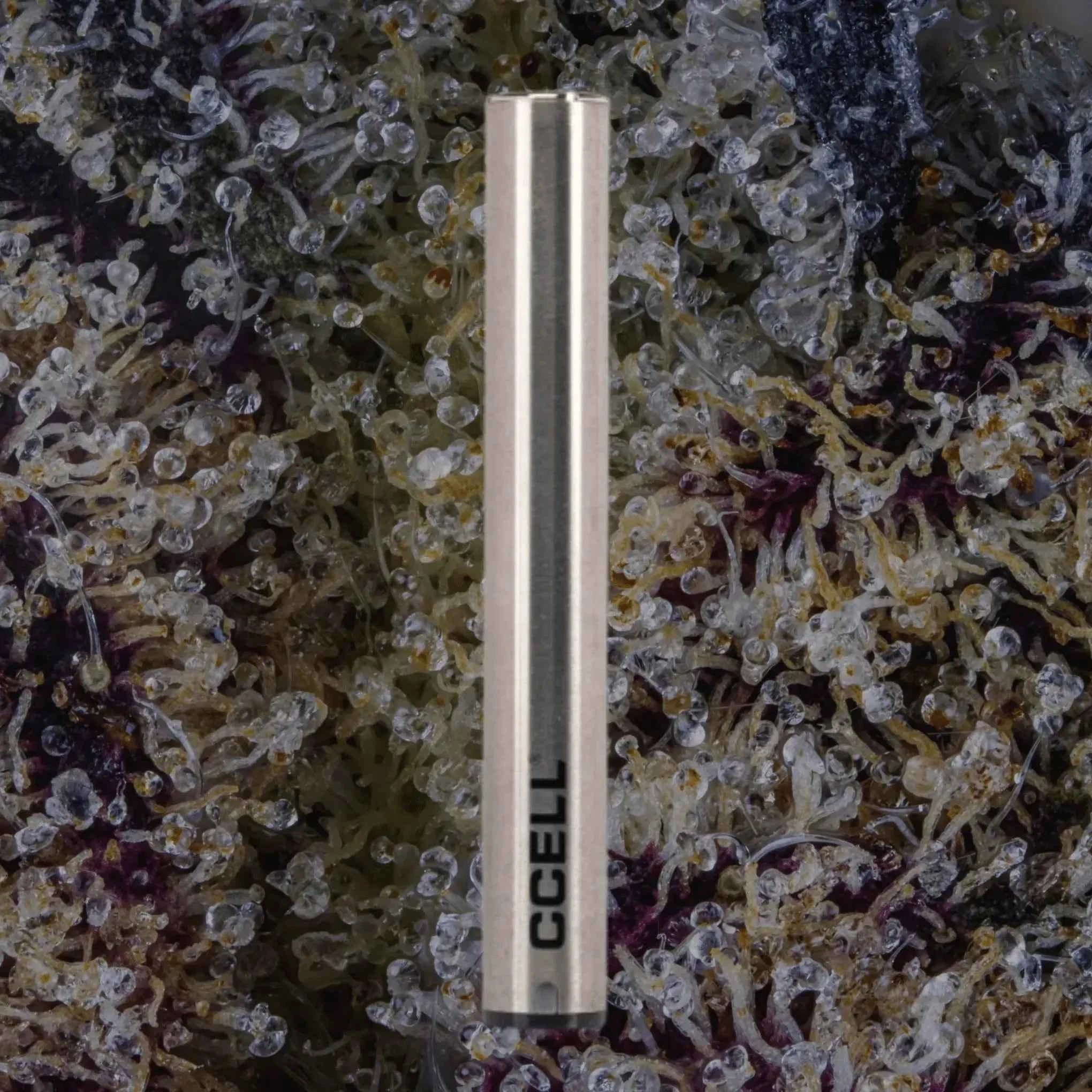 CCELL M3 Plus