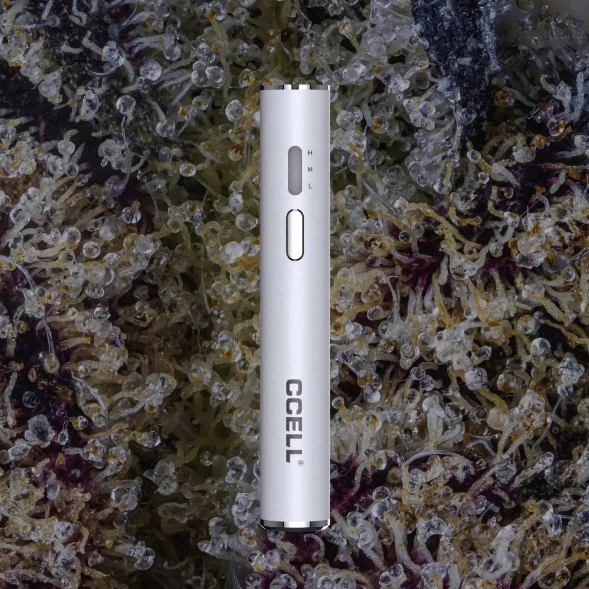 CCELL M3B Plus