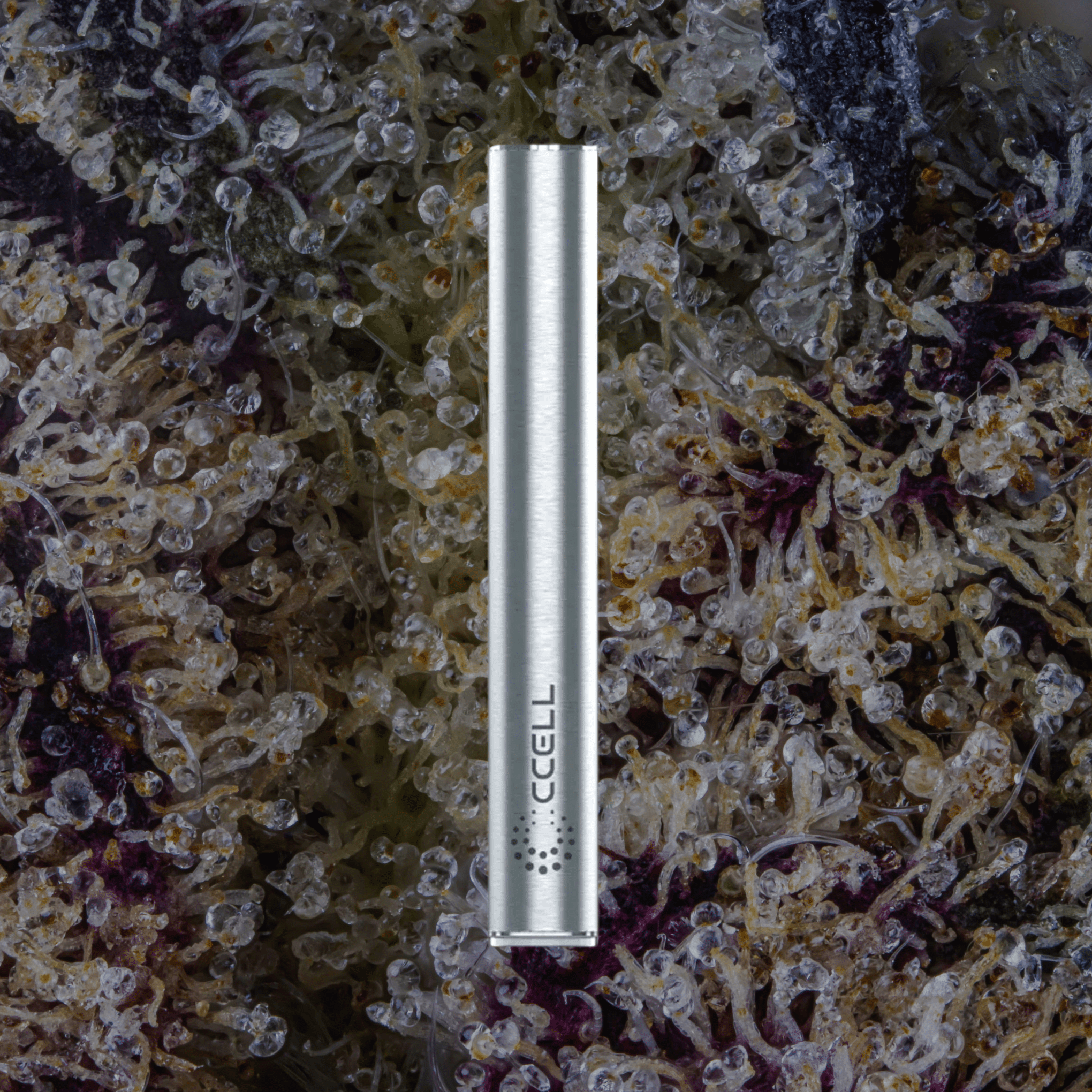 CCELL M4