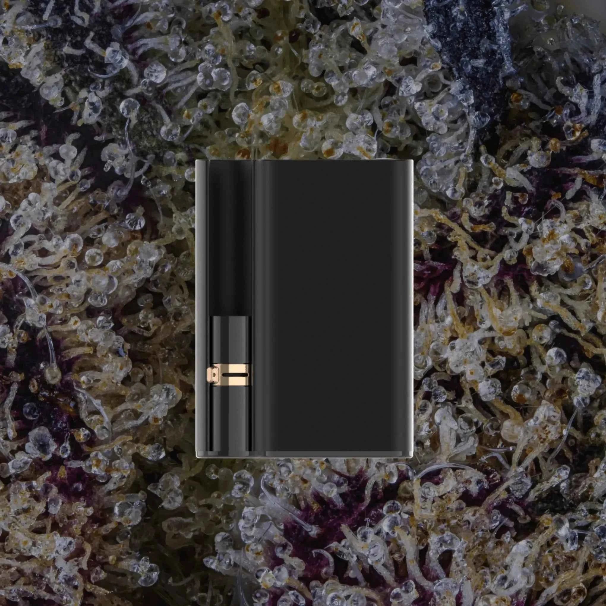 CCELL Palm Pro
