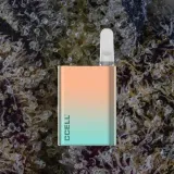 CCELL Palm Pro, cart batteries from Trichly photo 7
