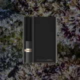 CCELL Palm Pro, cart batteries from Trichly photo 8