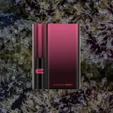 CCELL Palm Pro, cart batteries from Trichly photo 9