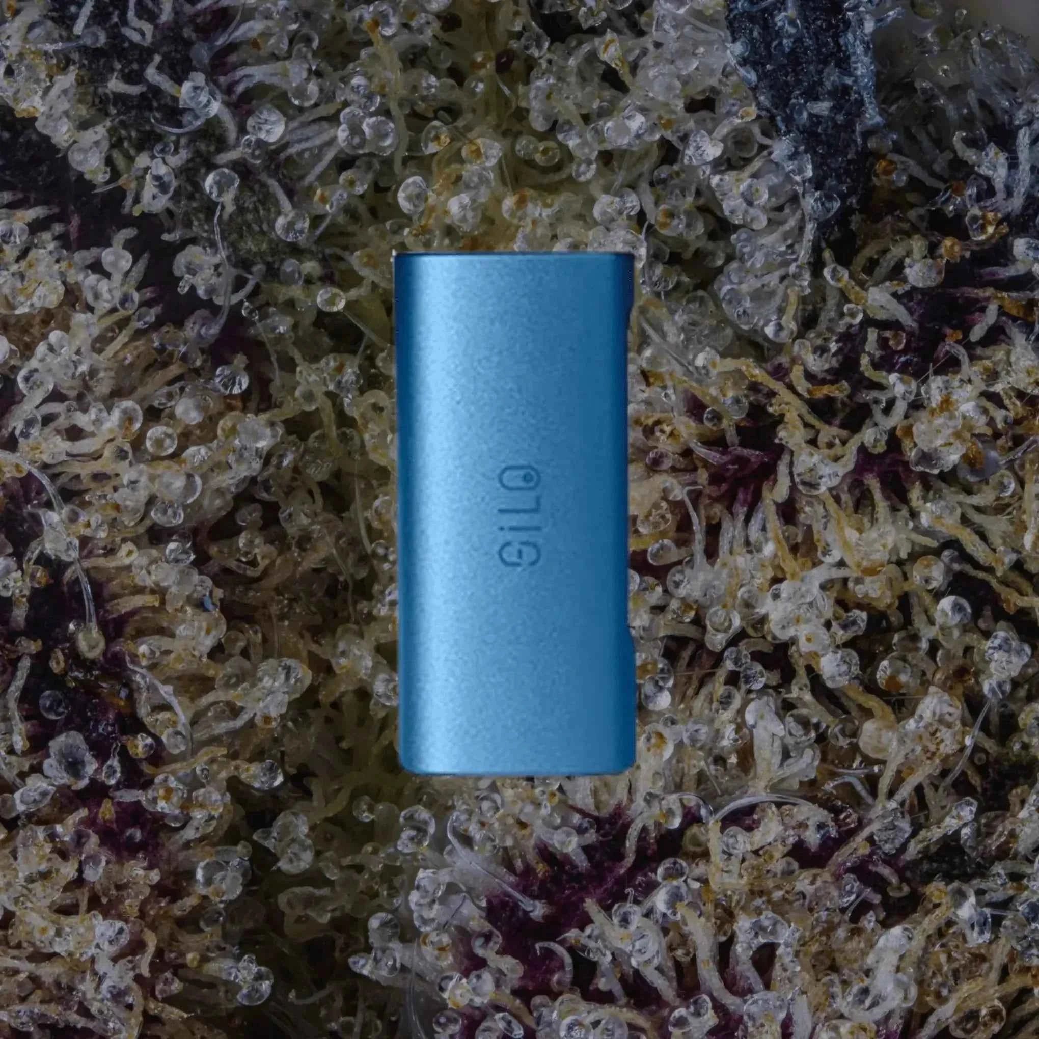 CCELL Silo