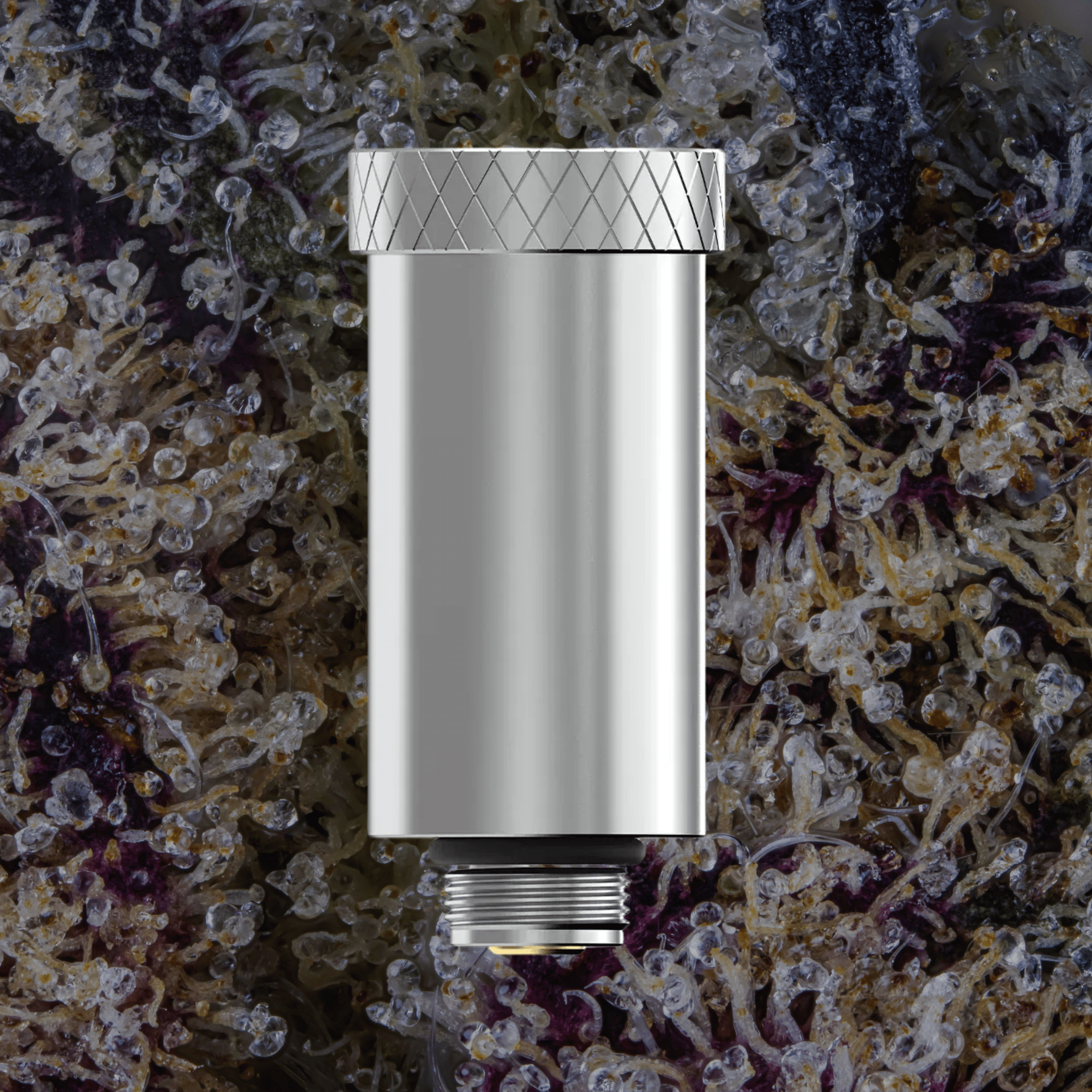 Dr Dabber Ghost 2 e-Chamber