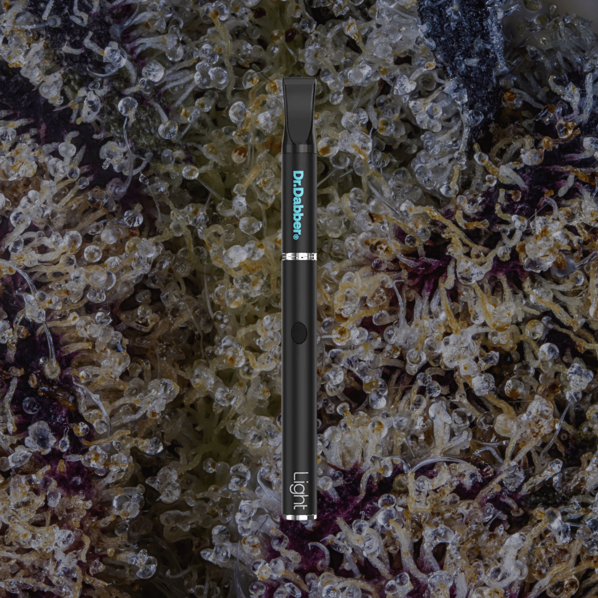 Dr. Dabber Light
