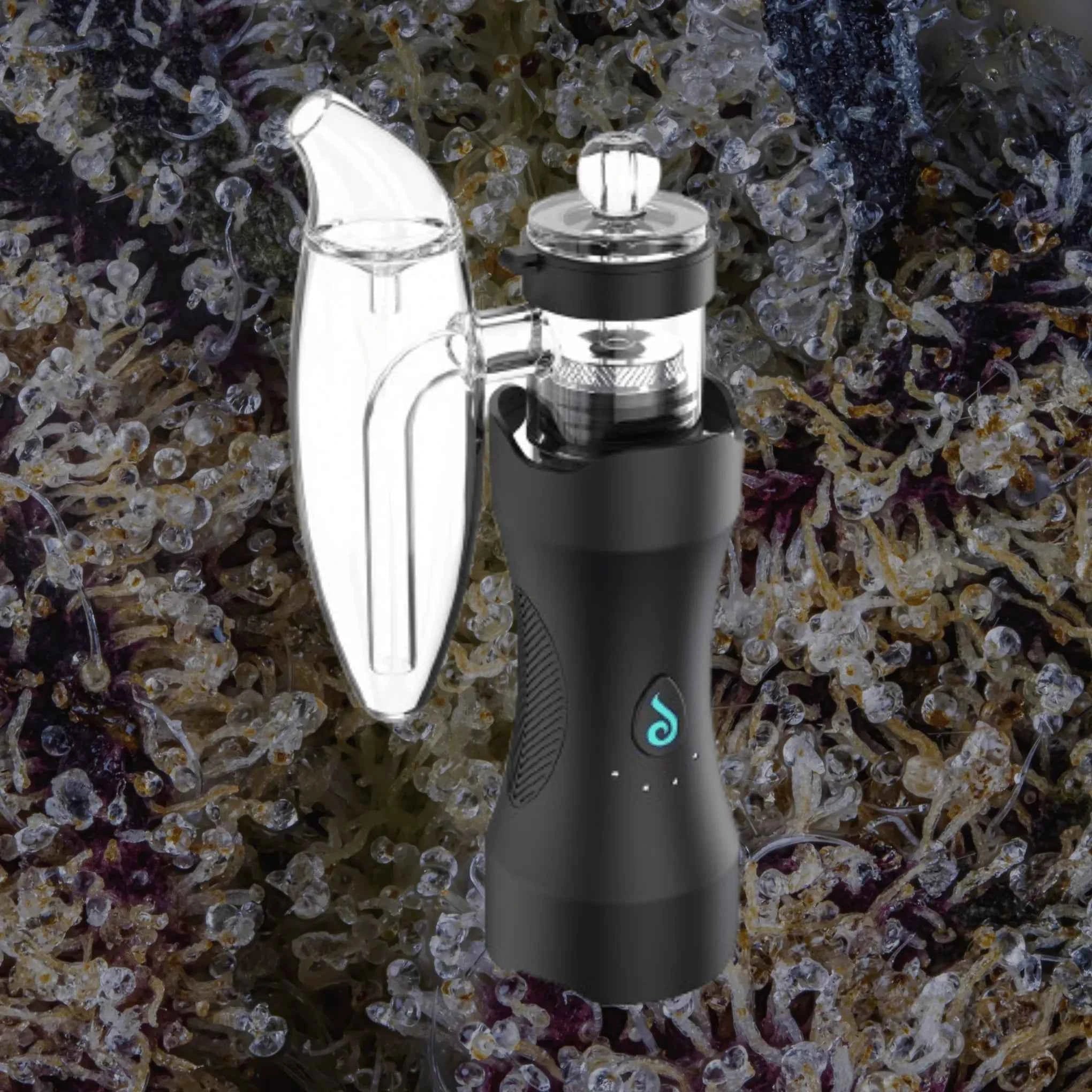 Dr. Dabber XS