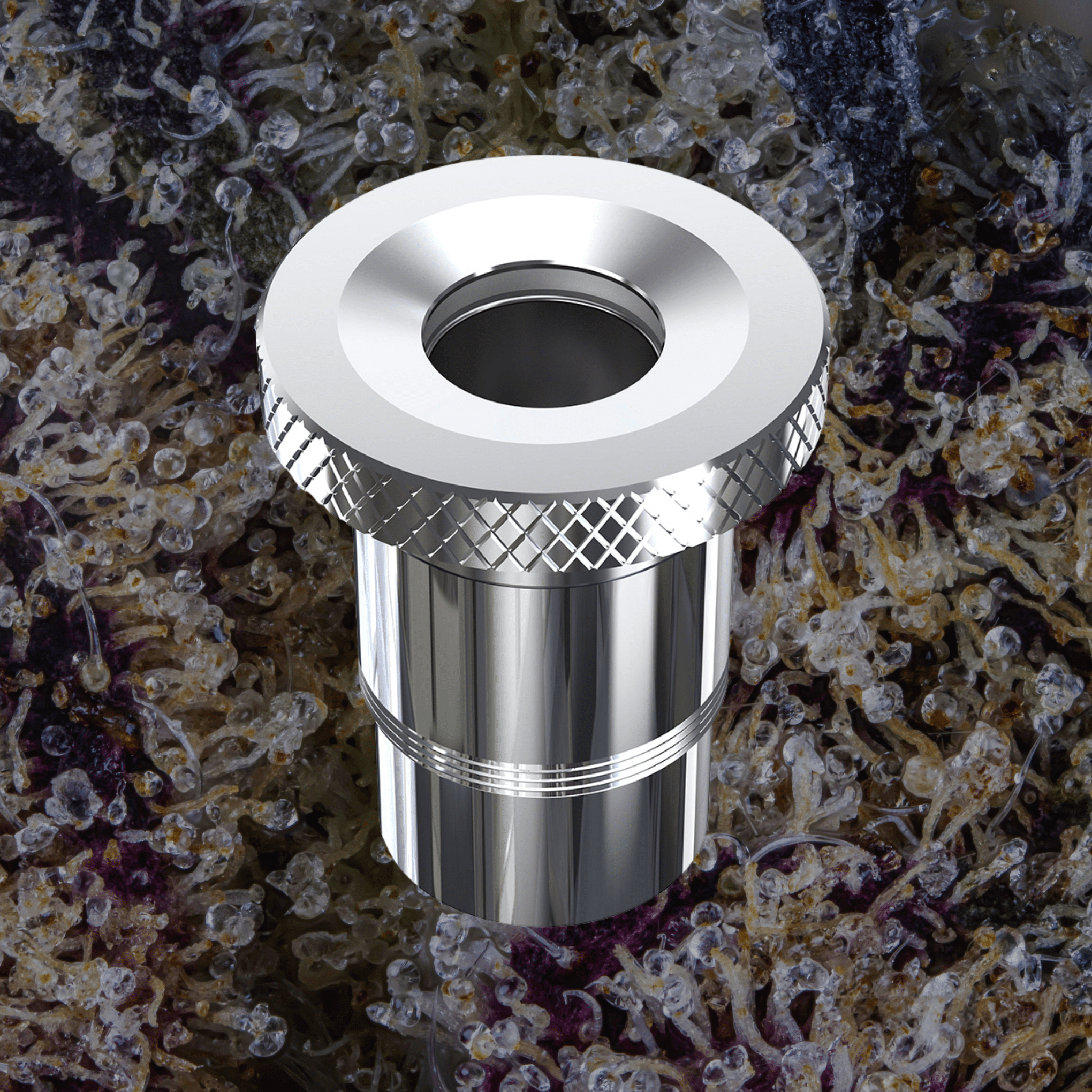 Dr. Dabber XS Quartz Chamber