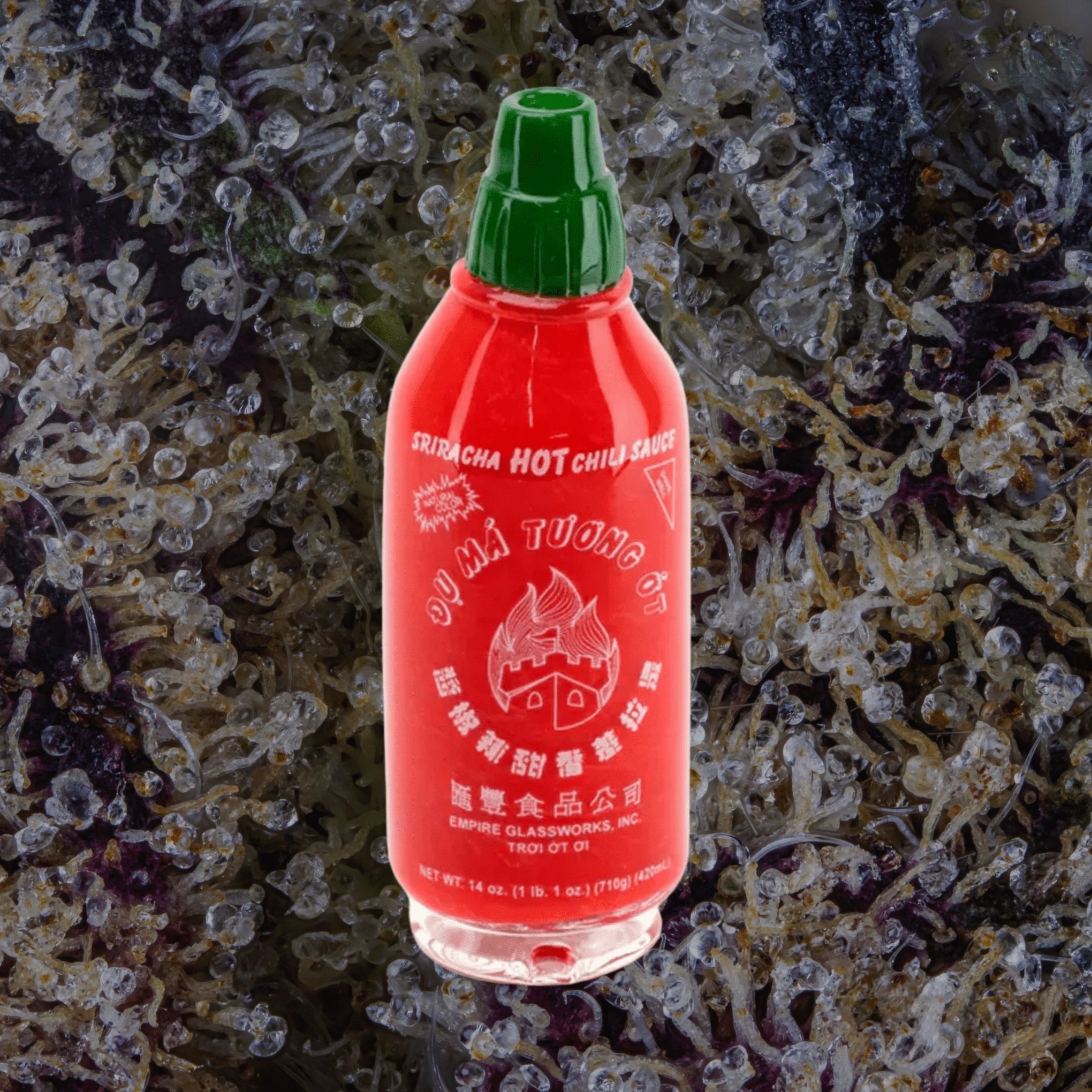Empire Glassworks Sriracha Peak Top