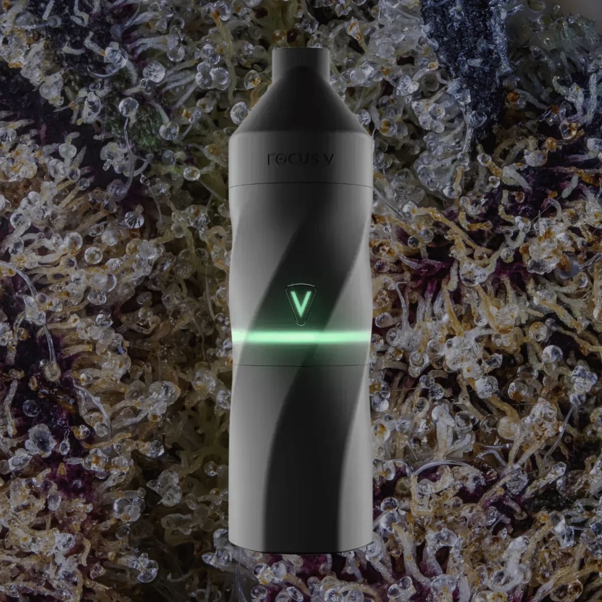 Focus V Aeris, for extracts from Trichly