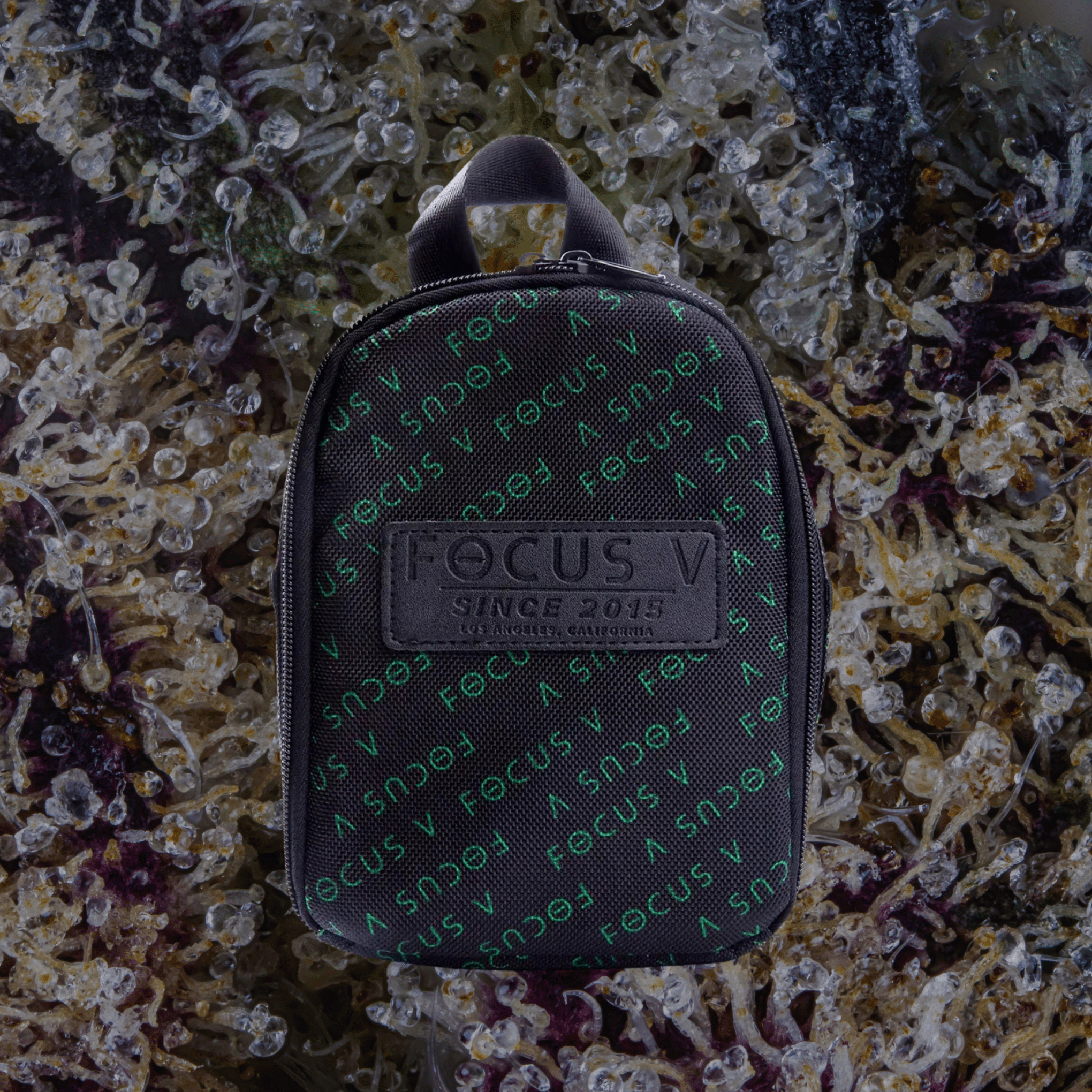 Focus V Carta Carry Case