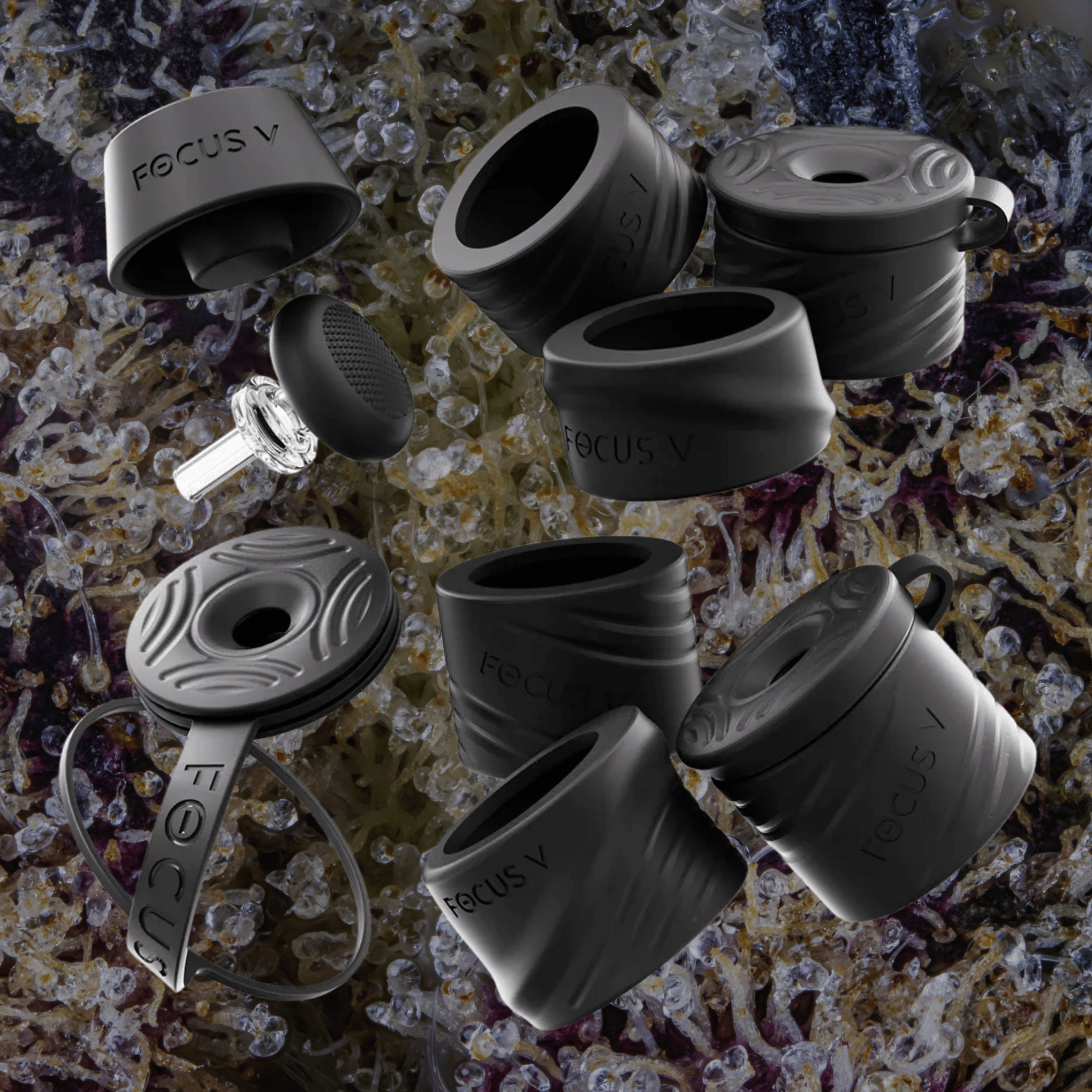 Focus V Carta Swivel & Silicone Accessory Kit
