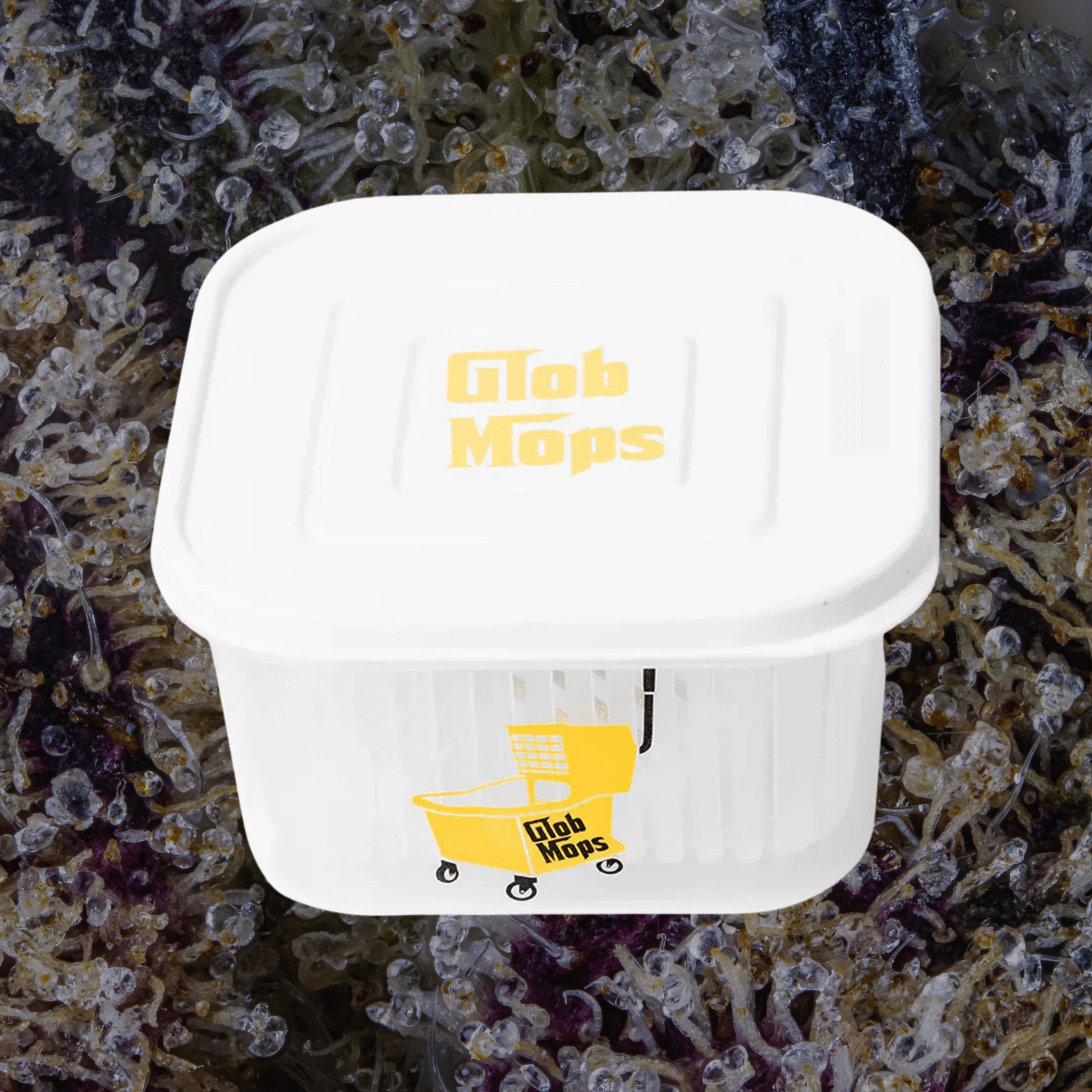 Glob Mop Buckets