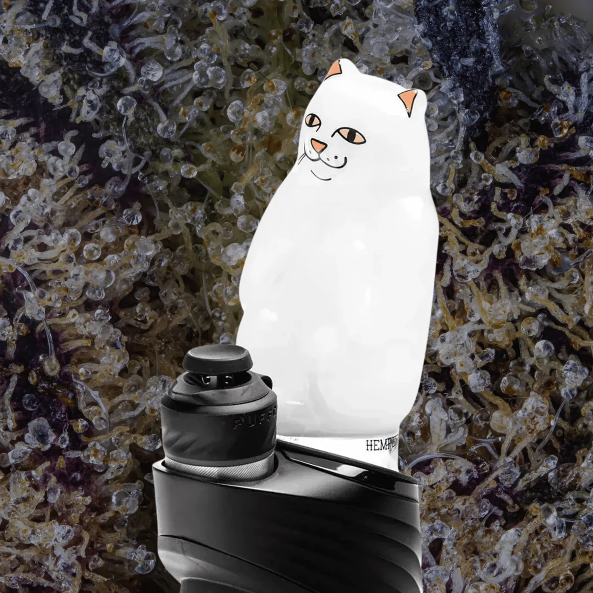 HEMPER x RIPNDIP High Nermal Puffco Peak Top, glass from Trichly