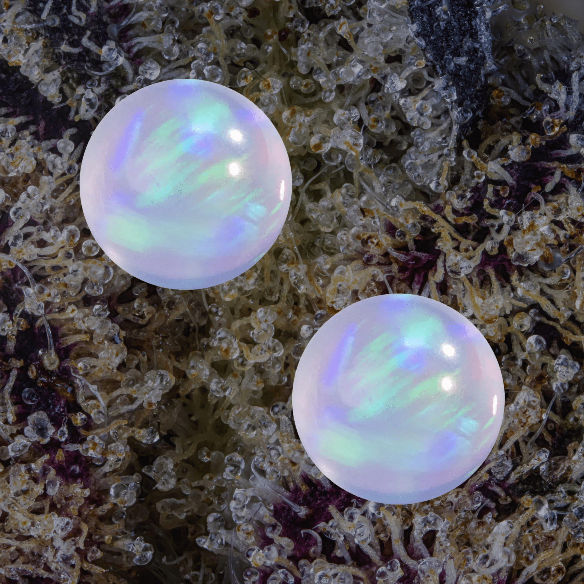 MJ Arsenal Opal Terp Pearls