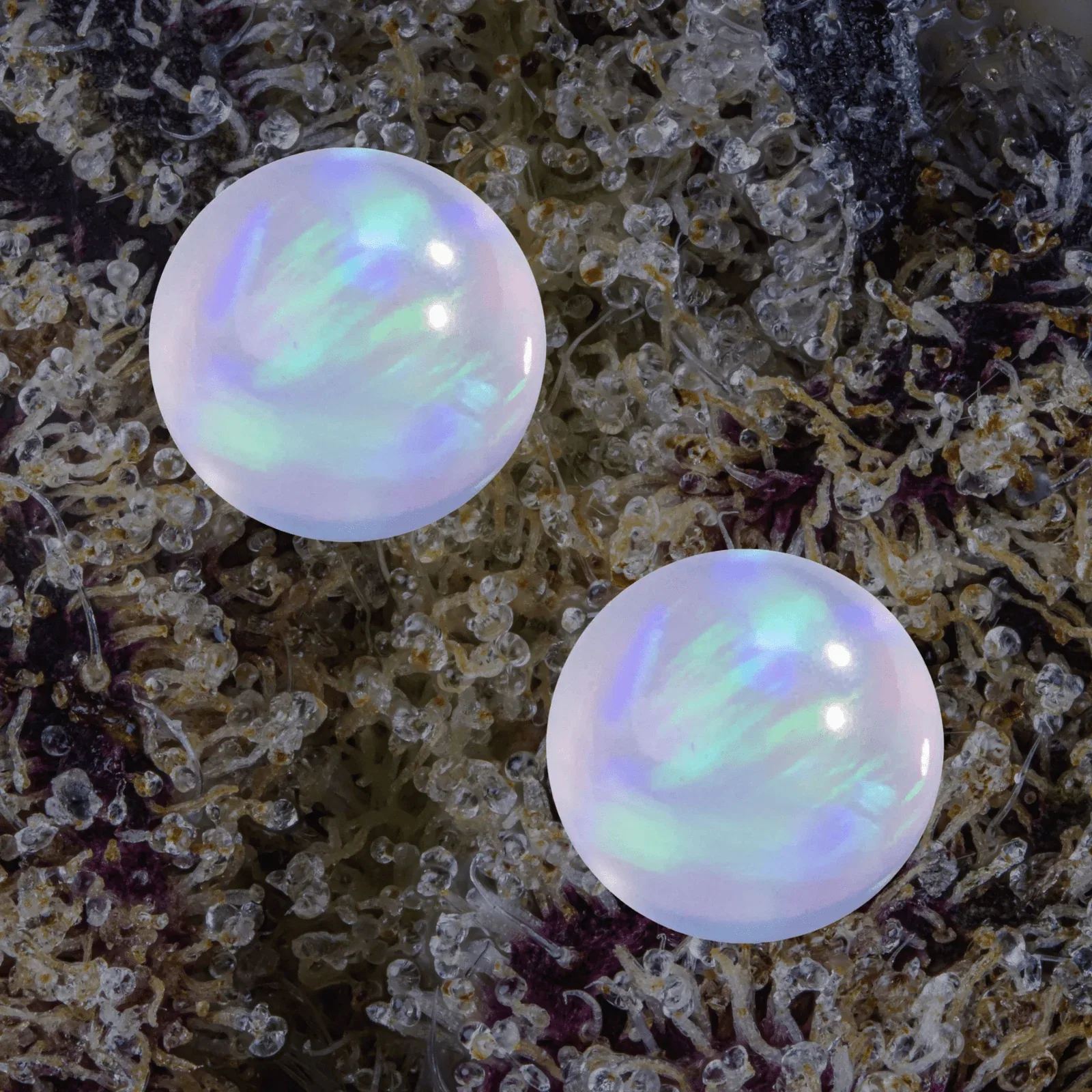 MJ Arsenal Opal Terp Pearls, accessories from Trichly