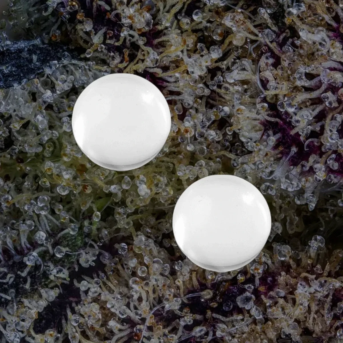 MJ Arsenal Quartz Terp Pearls in six colors, 2mm / 4mm / 6mm