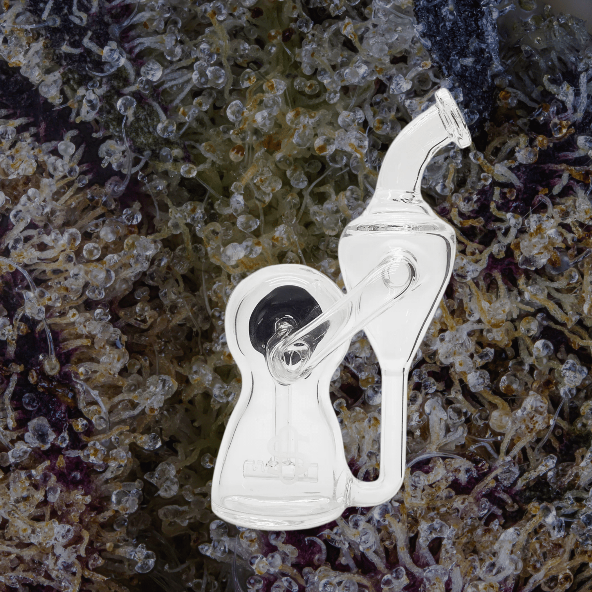 Modül Dok Glass Recycler II