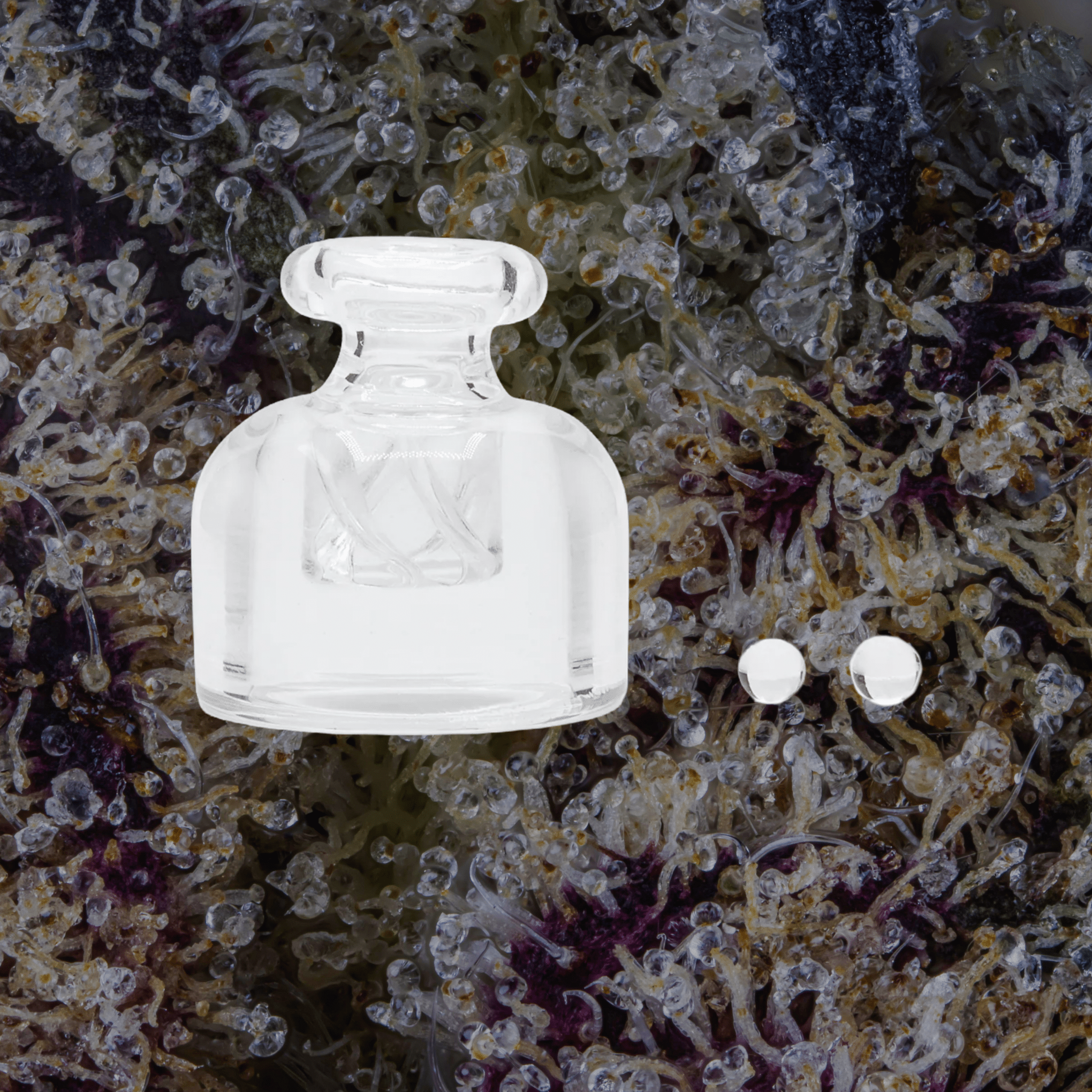 Modül Dok Glass Carb Cap & Terp Pearls