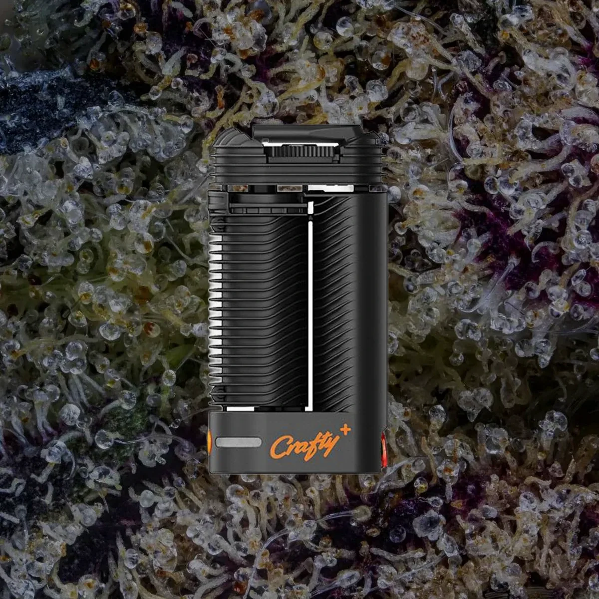 Storz & Bickel Crafty+, for flower from Trichly