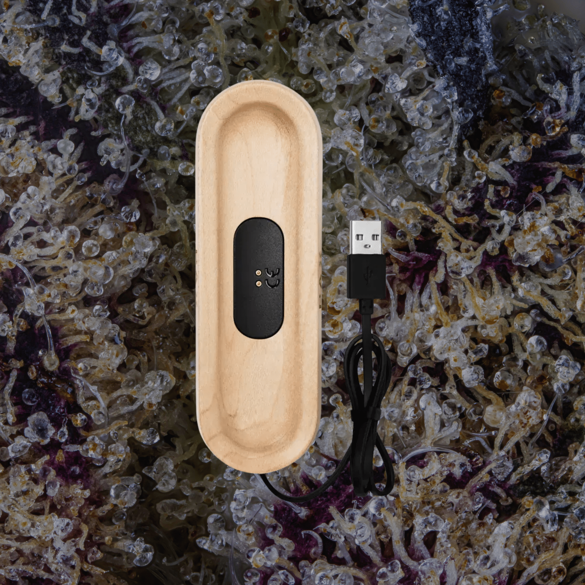 PAX Charging Tray