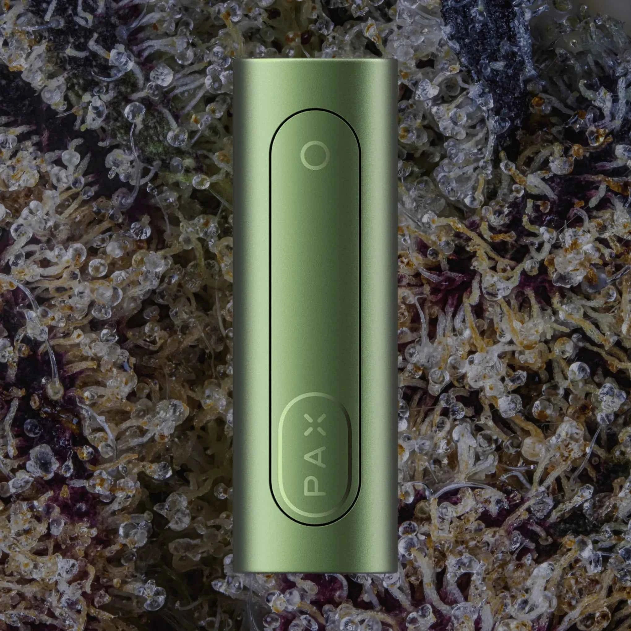 PAX Flow
