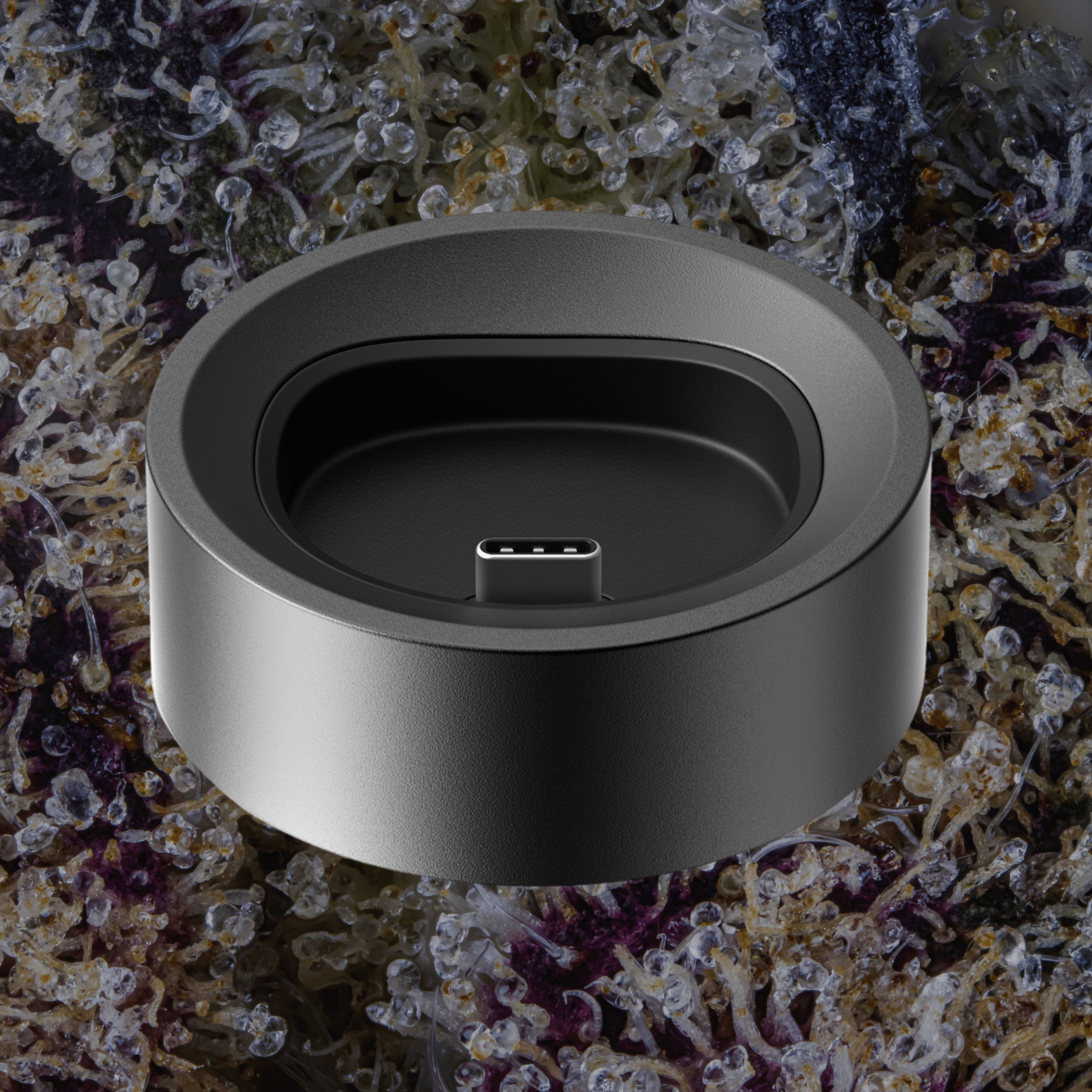 PAX Flow Charging Dock