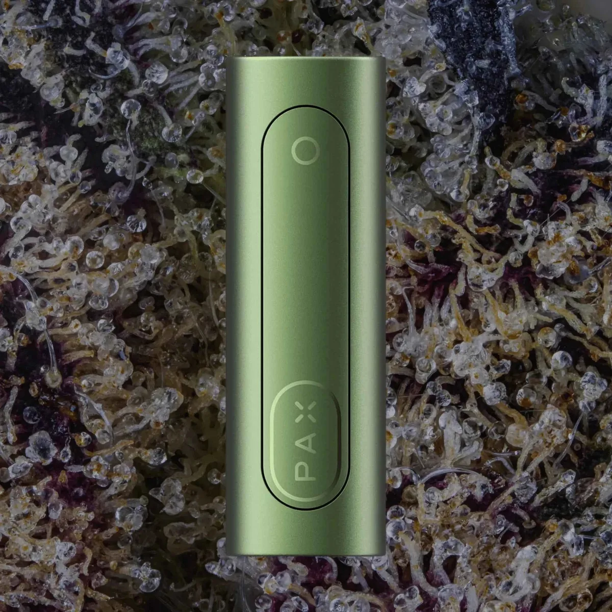 PAX Flow, for flower from Trichly