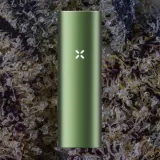 PAX Flow, for flower from Trichly photo 5