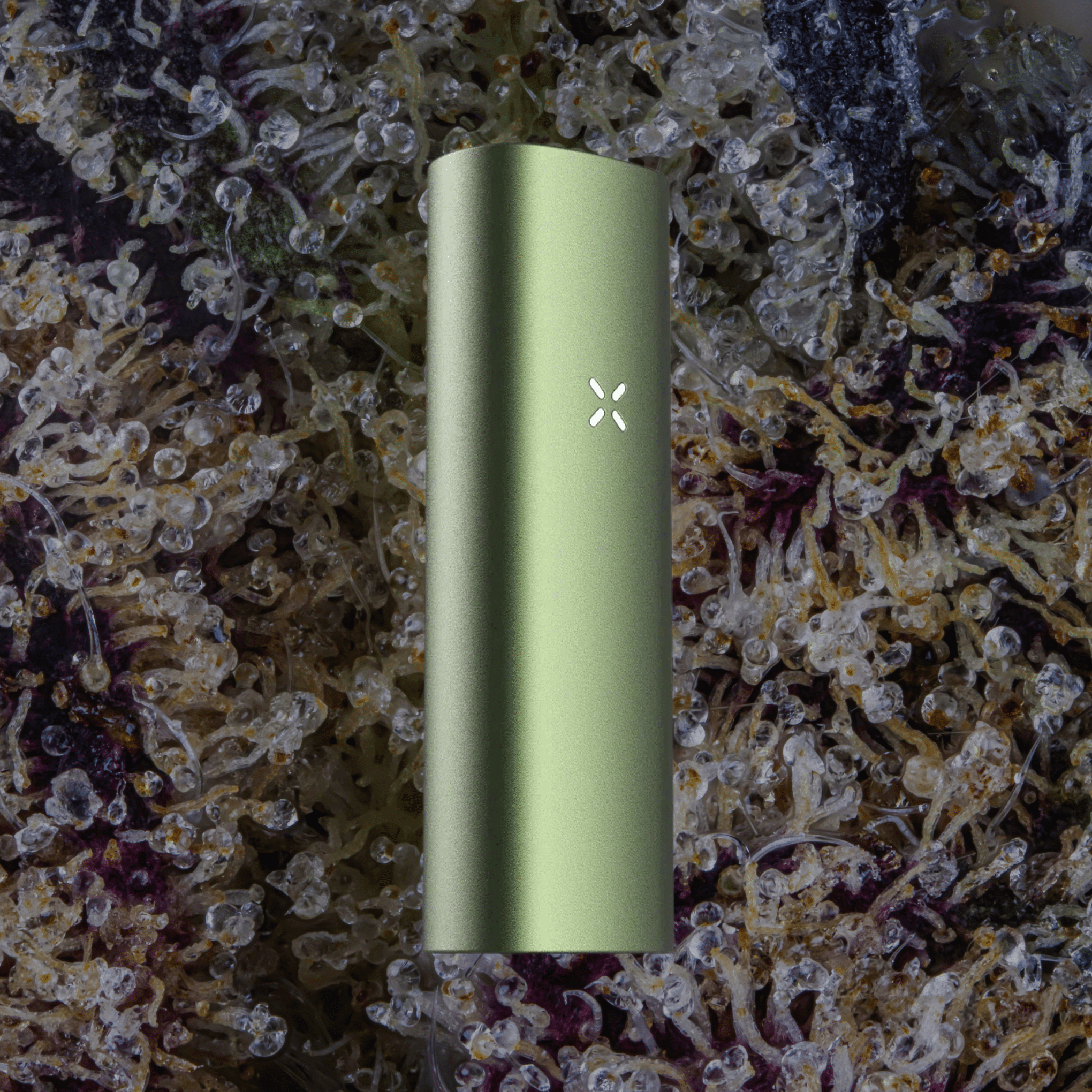 PAX Mini 2 Vaporizer