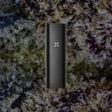 PAX Mini, for flower from Trichly photo 1