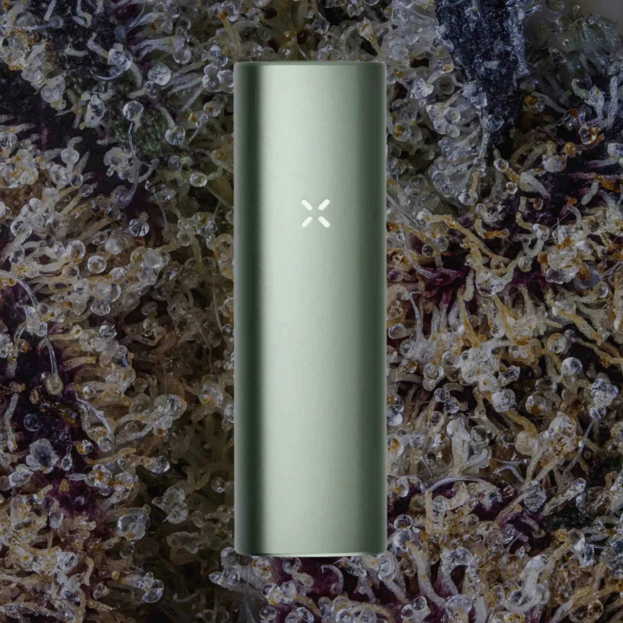 PAX Plus