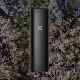 PAX Plus, for flower from Trichly photo 4