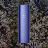 PAX Plus, for flower from Trichly photo 2