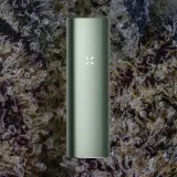 PAX Plus, for flower from Trichly photo 1